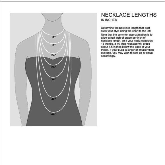 Adornia (other piece to Adornia Layering Necklace) - Picture 3 of 3